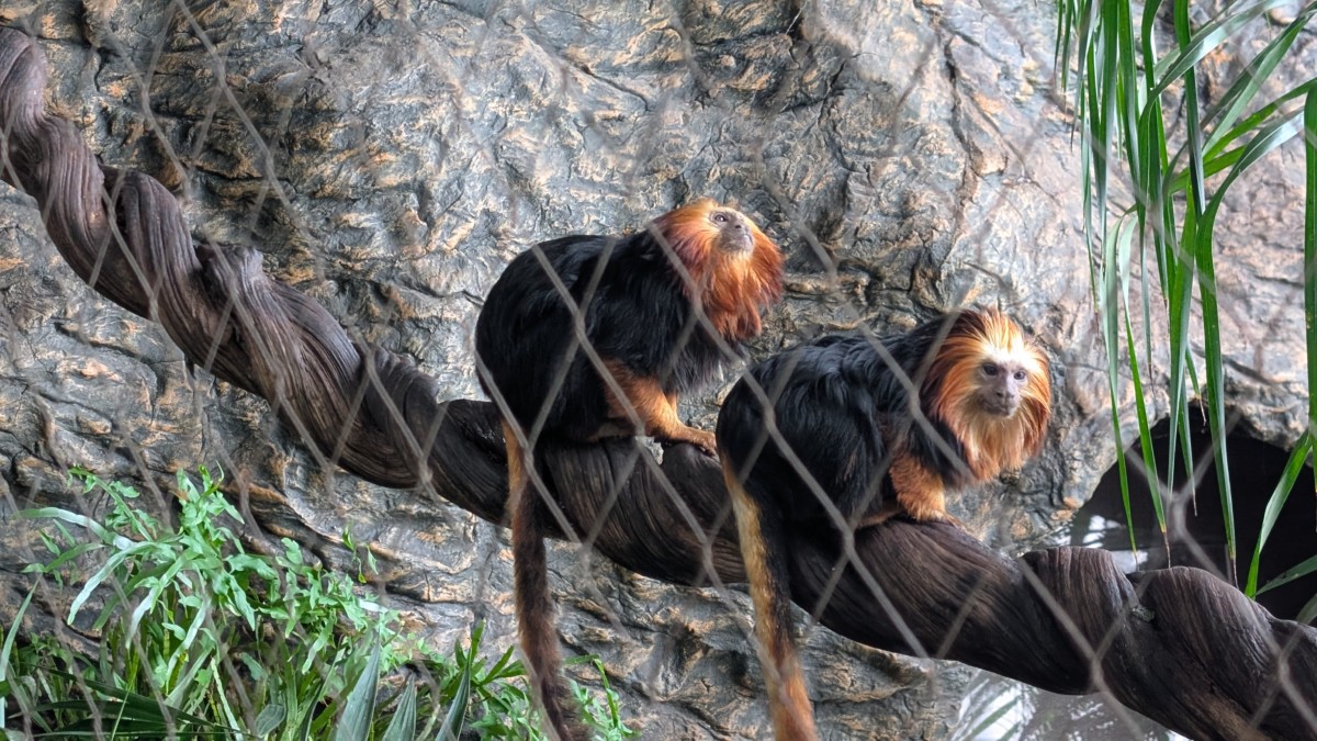 PXL_20251205_172243465