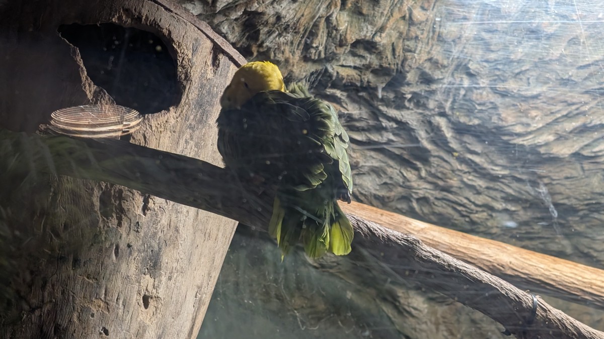 PXL_20251205_172336587.MP