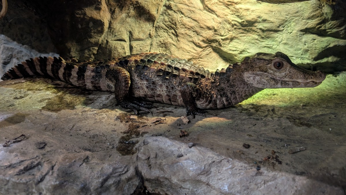 PXL_20251205_172439960