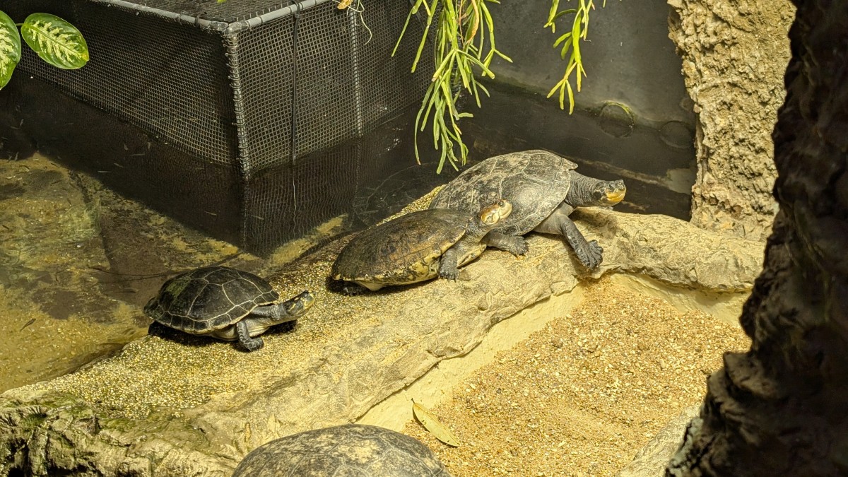 PXL_20251205_172646381