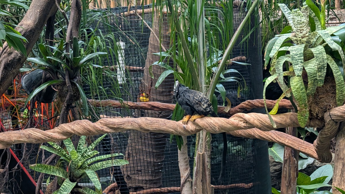 PXL_20251205_173125015