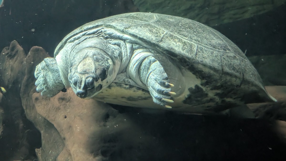 PXL_20251205_173306522