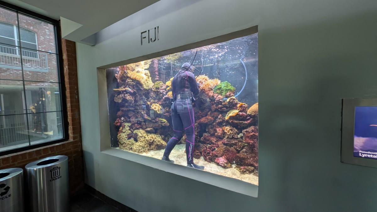 PXL_20251205_173459759