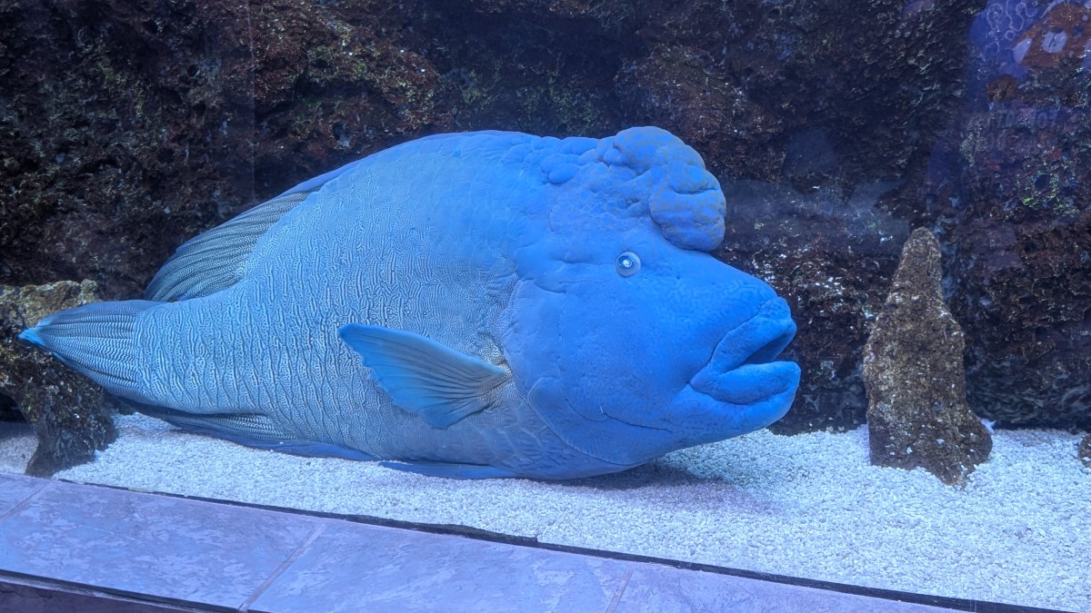 PXL_20251205_173647498