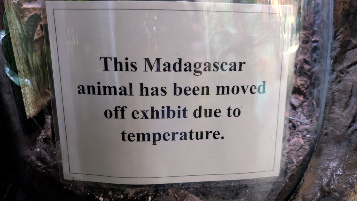 PXL_20251205_173752675.MP