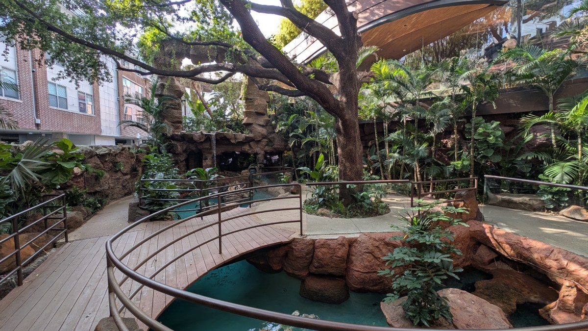 PXL_20251205_173849374