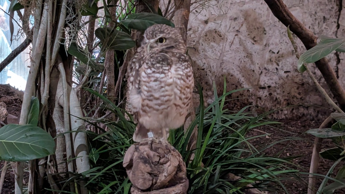 PXL_20251205_174042360