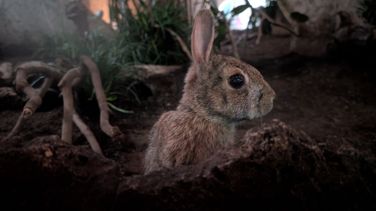 PXL_20251205_174126255