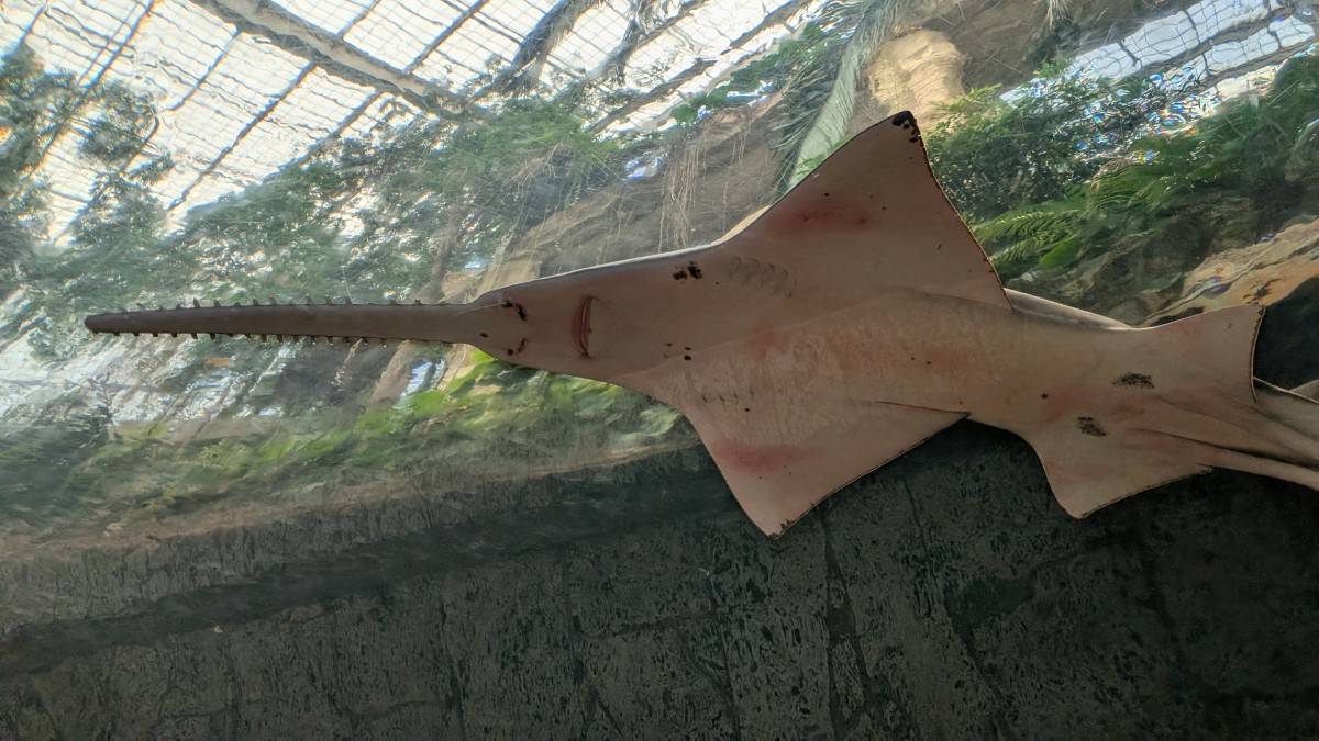 PXL_20251205_174318140