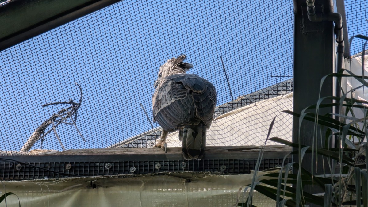 PXL_20251205_175038353