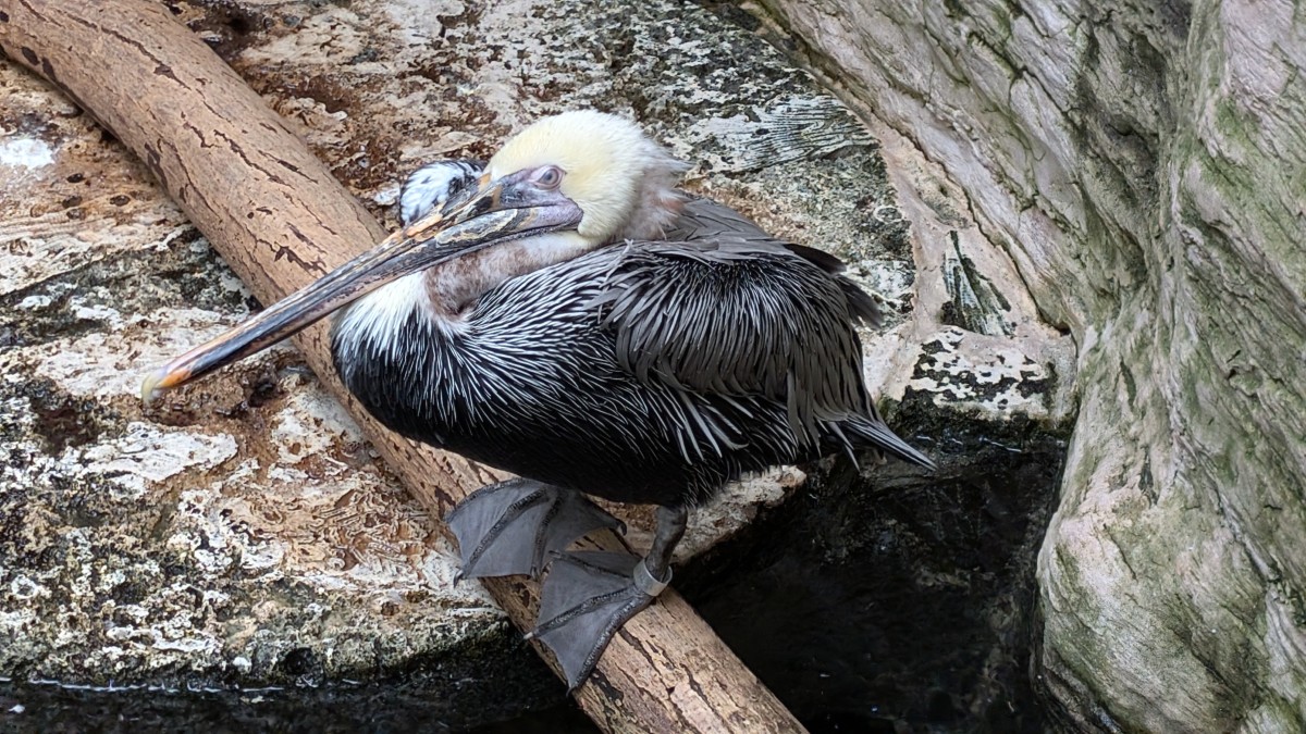 PXL_20251205_175204467