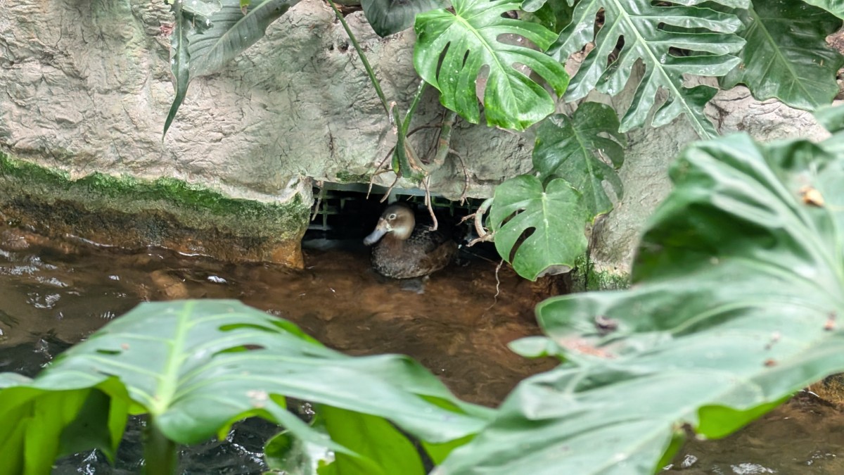 PXL_20251205_175802308