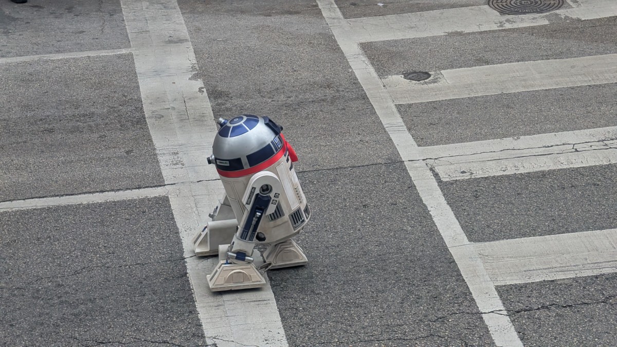 PXL_20251206_153828903