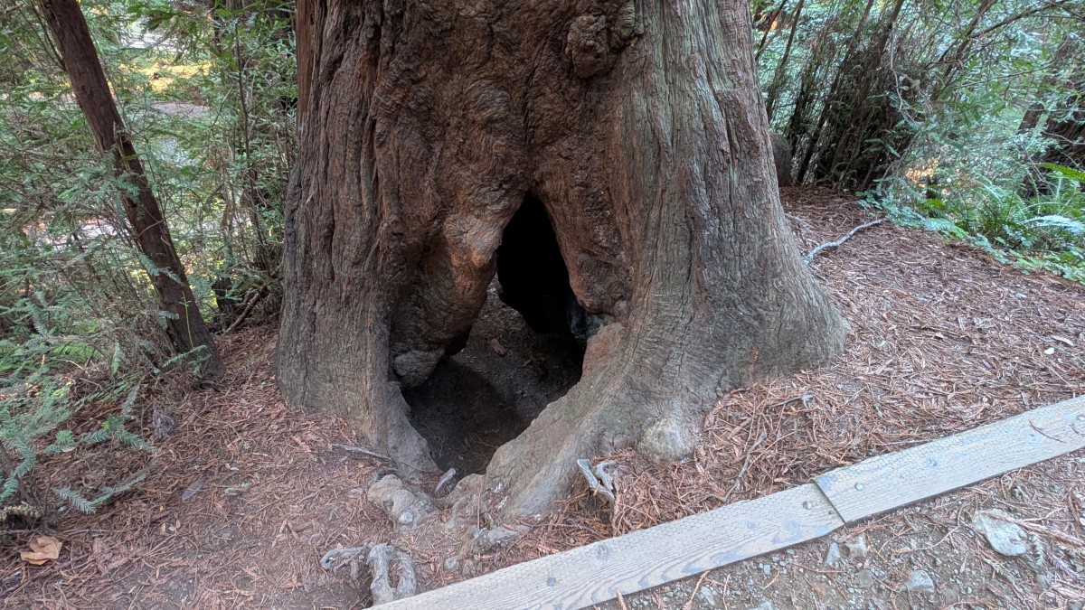 PXL_20251212_174357978