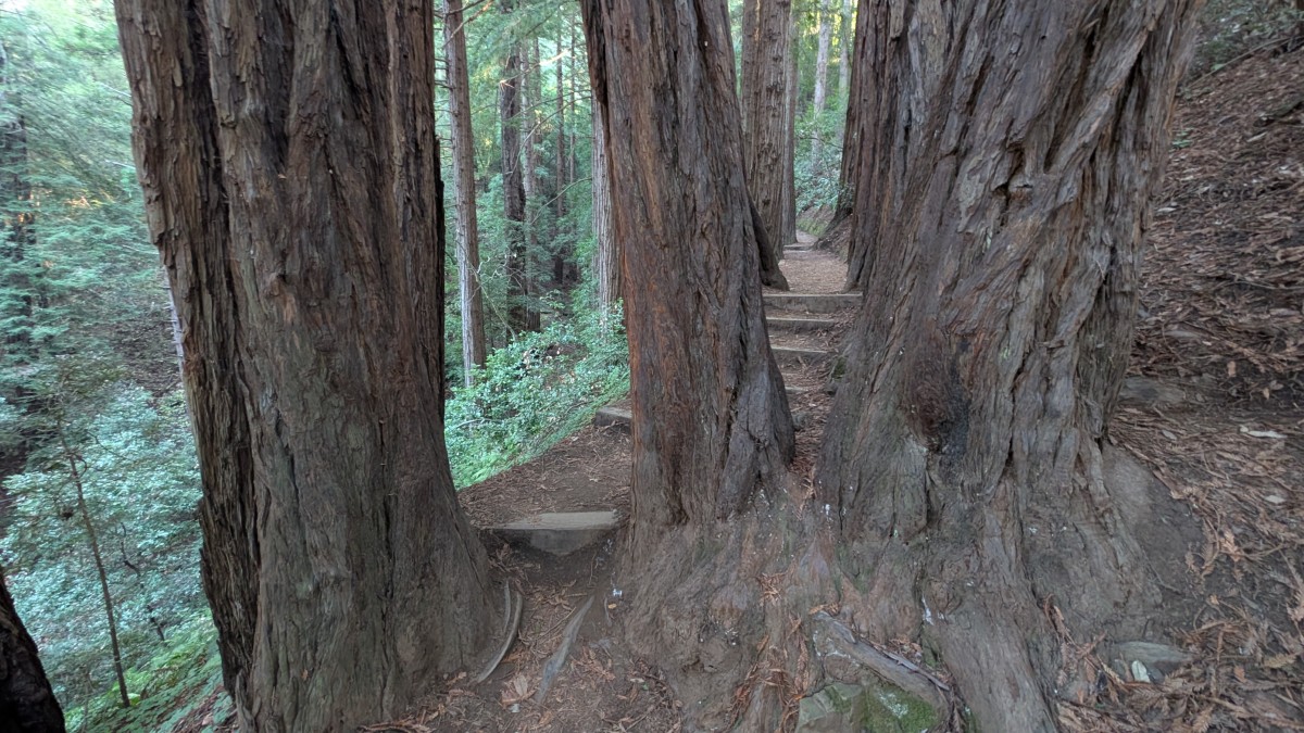 PXL_20251212_174750856