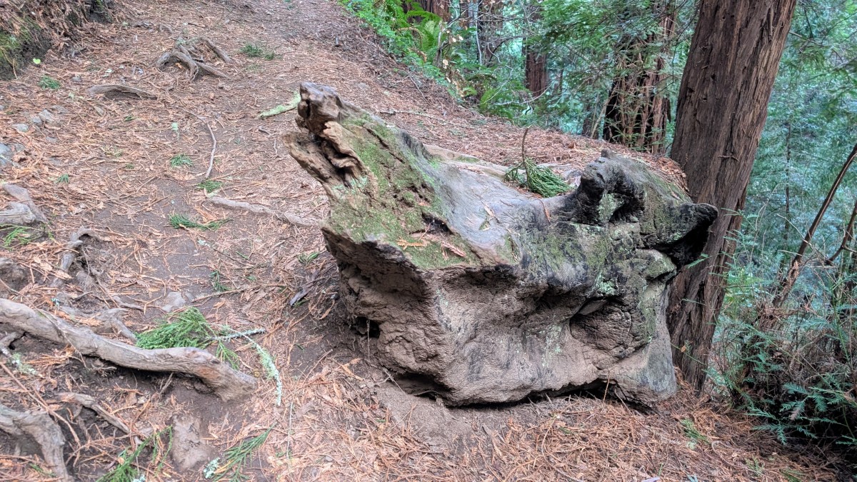 PXL_20251212_175342779