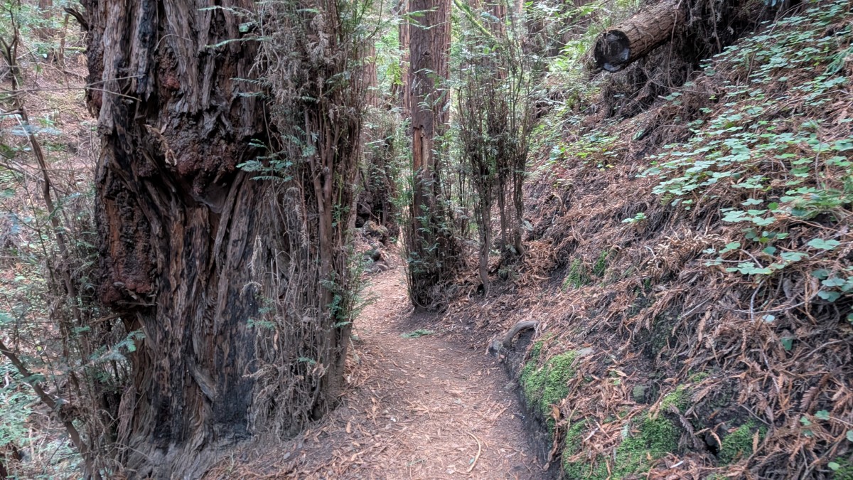 PXL_20251212_175511483