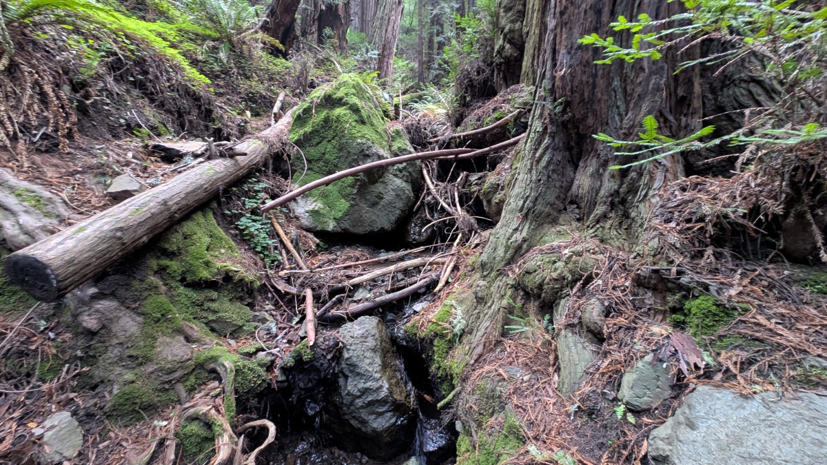 PXL_20251212_175551550