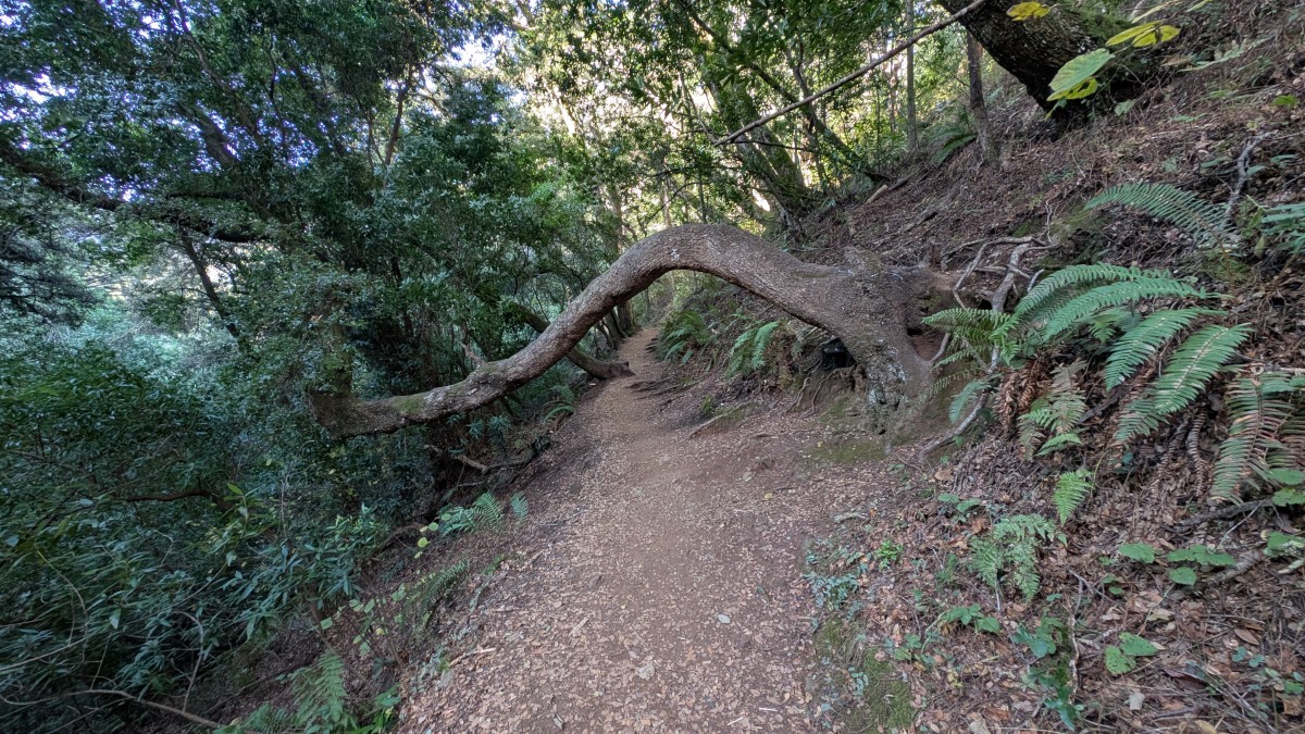 PXL_20251212_175725026