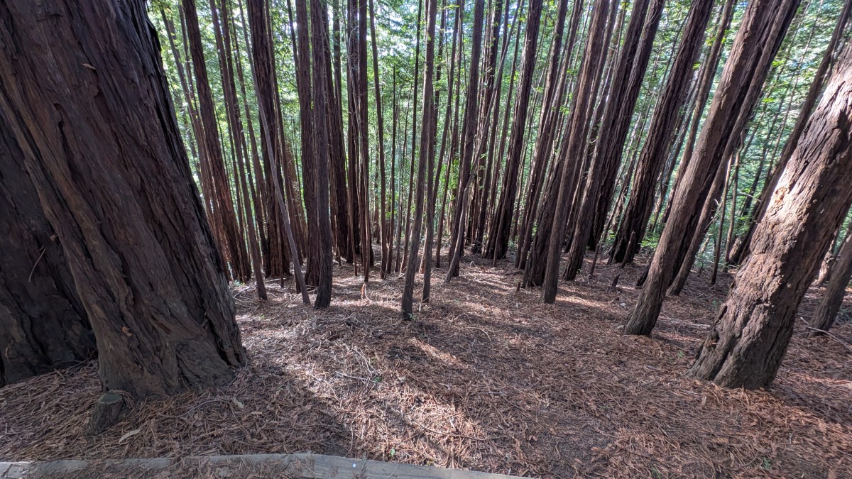 PXL_20251212_175858580