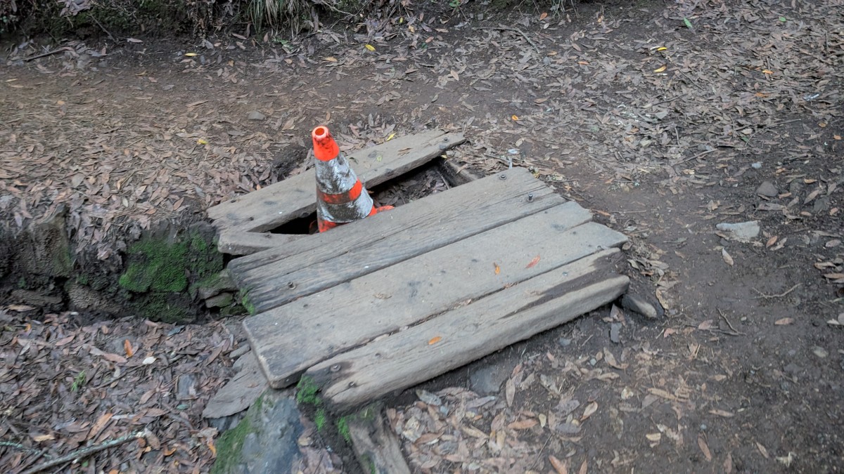 PXL_20251212_180410514