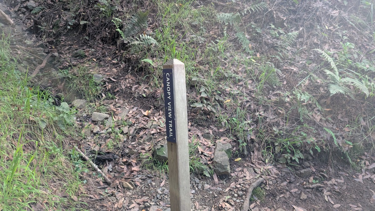 PXL_20251212_181551125