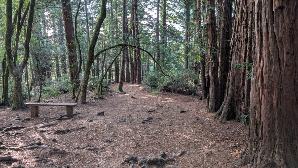 PXL_20251212_181953627