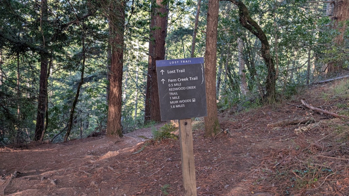 PXL_20251212_182001201