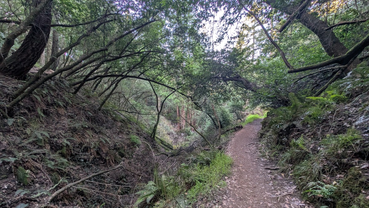 PXL_20251212_182339705