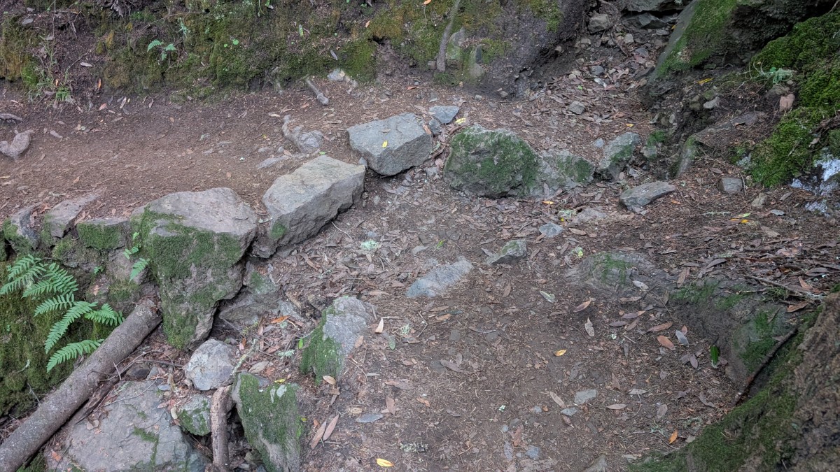 PXL_20251212_182442327