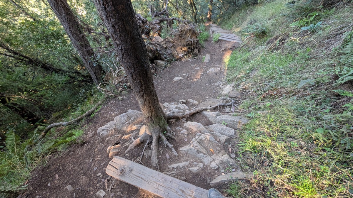 PXL_20251212_182740859