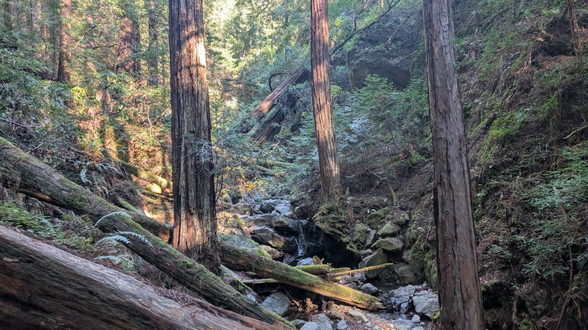 PXL_20251212_183605135