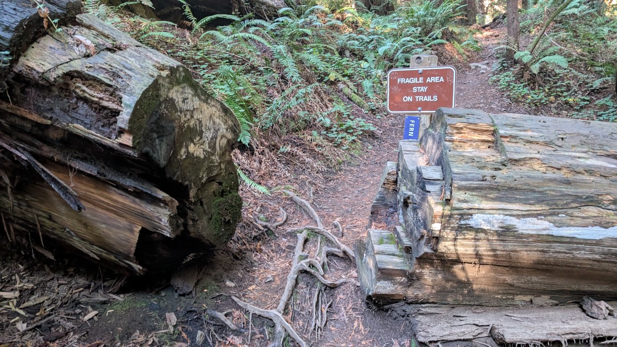 PXL_20251212_183803663