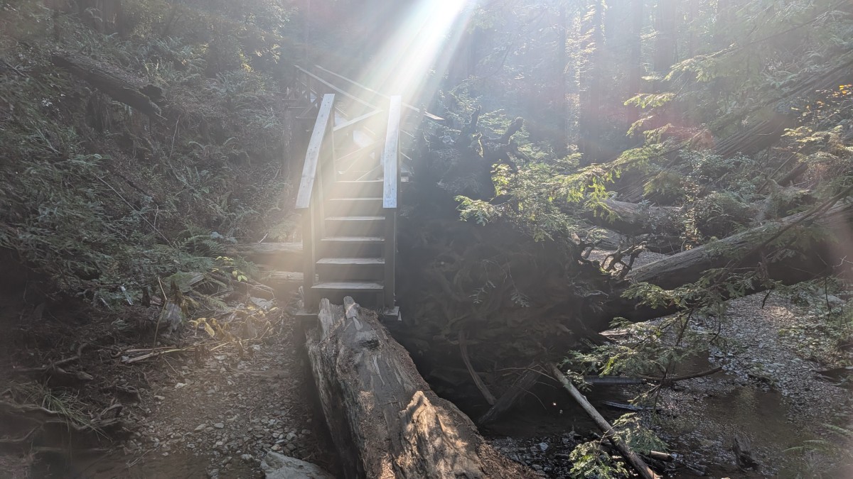 PXL_20251212_183812936