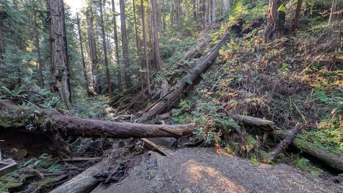 PXL_20251212_183845142