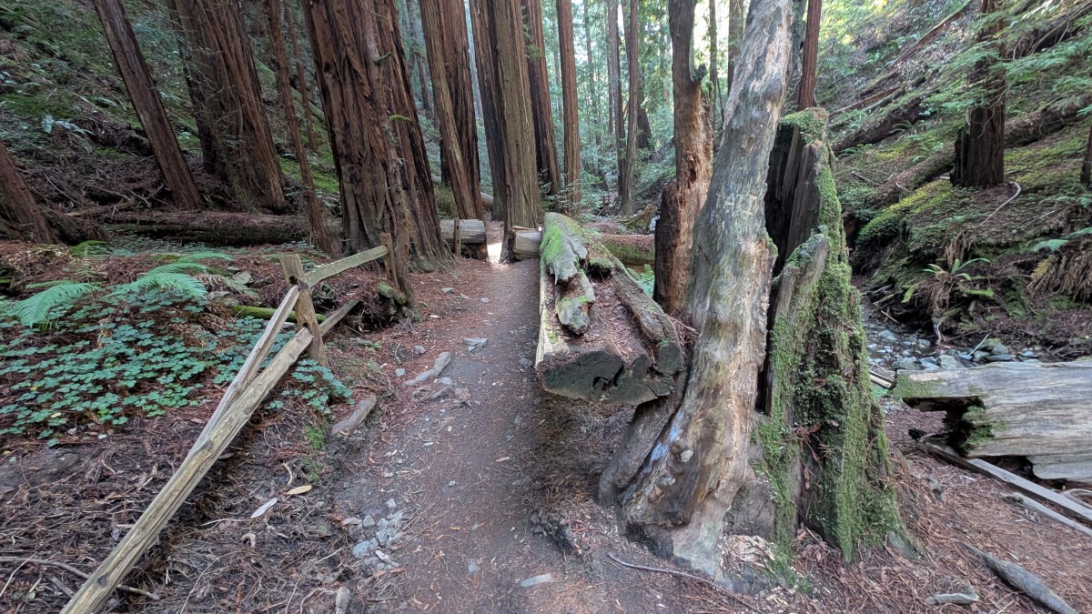 PXL_20251212_184104950