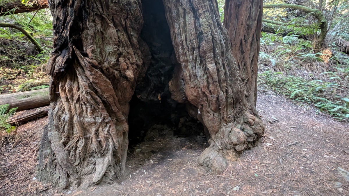 PXL_20251212_184306693