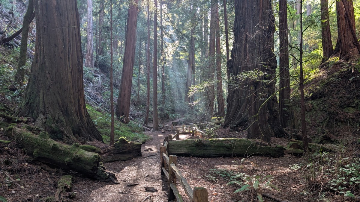 PXL_20251212_184612861