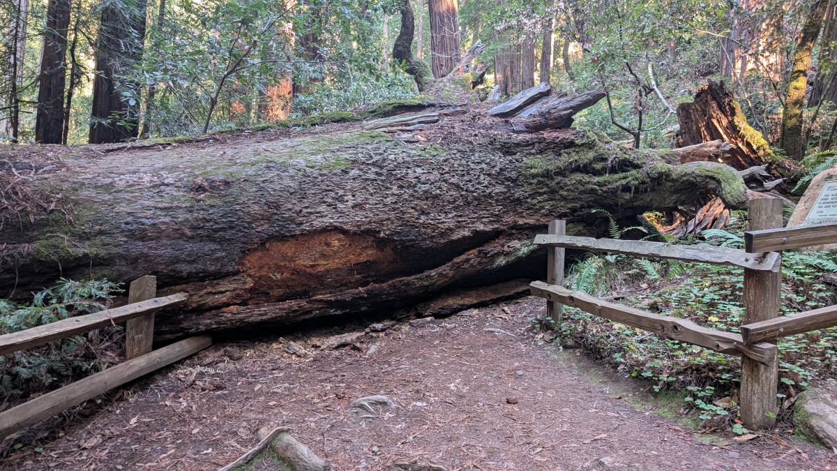 PXL_20251212_184959000