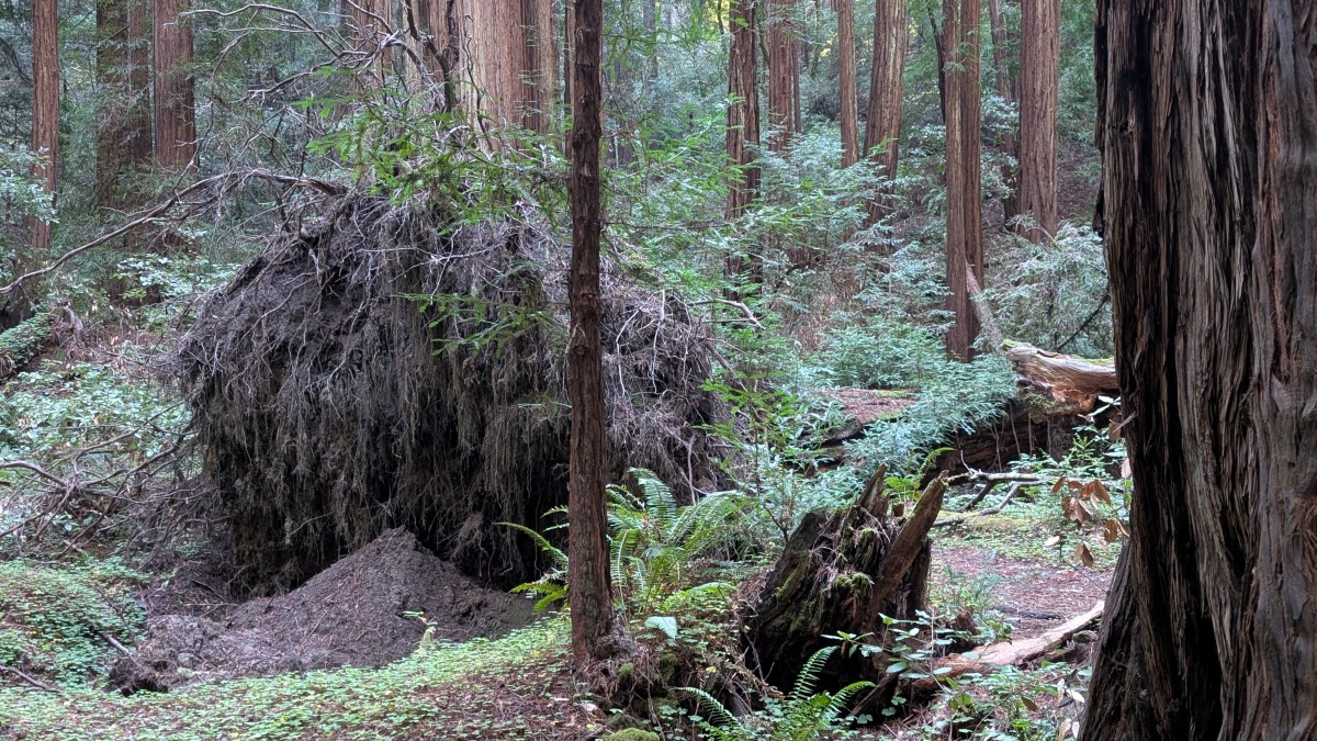 PXL_20251212_185640748