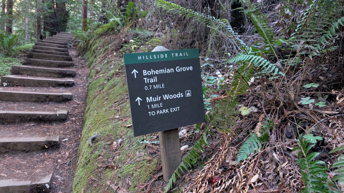 PXL_20251212_185901382